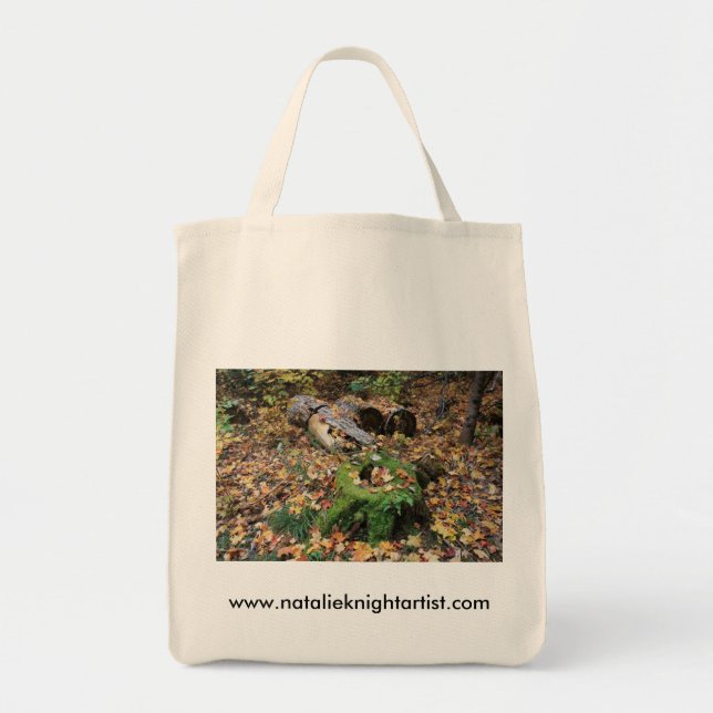 Bag2 Tygkasse (Framsidan)