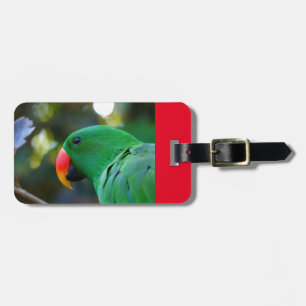 Bagagemärkre med den Eclectus papegojan Bagagebricka