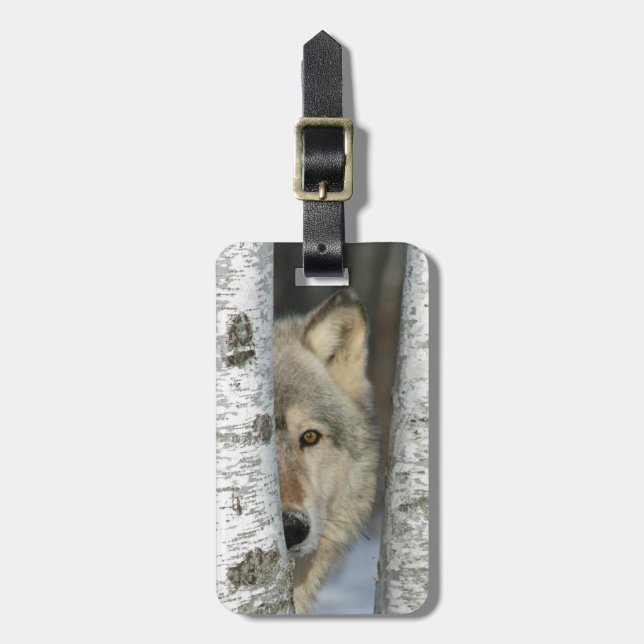 bagagemärkre med fotoet av den gråa vargen i bagagebricka (Vertikal Framsida)