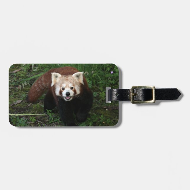 Bagagemärkre - röd panda bagagebricka (Horisontell Framsida)