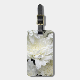 Bagagemärkren med läder fäster bagagebricka