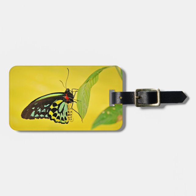 Bagagetag Bagagebricka (Horisontell Framsida)