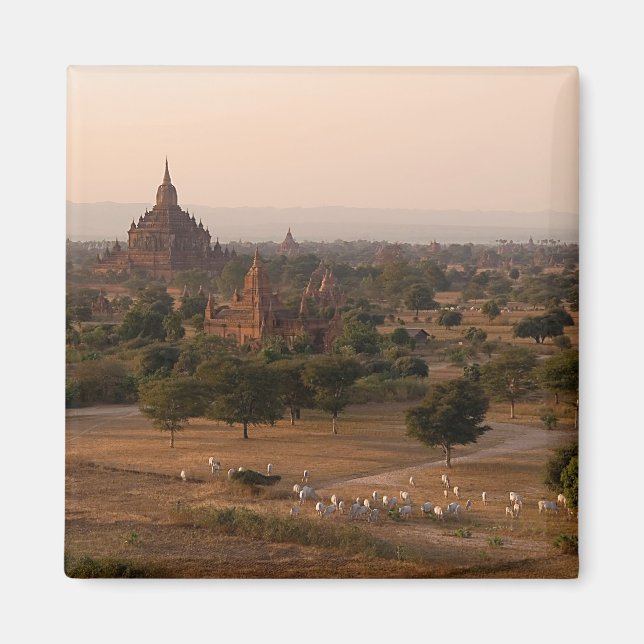 Bagan vid Dusk Magnet (Framsidan)