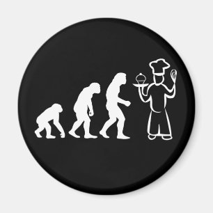 Bagareevolution Magnet