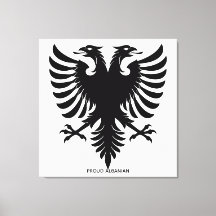 Bågbandad minimalist örn