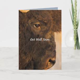 Bägge ändar av Buffalo Humous-kortet Kort