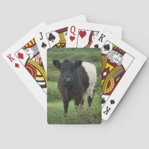 Bägge Galloway Cow Casinokort