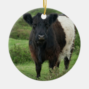 Bägge Galloway Cow Julgransprydnad Keramik