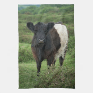 Bägge Galloway Cow Kökshandduk