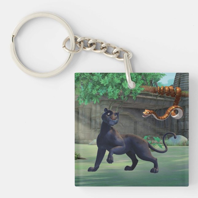 Bagheera 3 (Framsidan)
