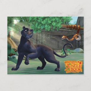Bagheera 3 vykort