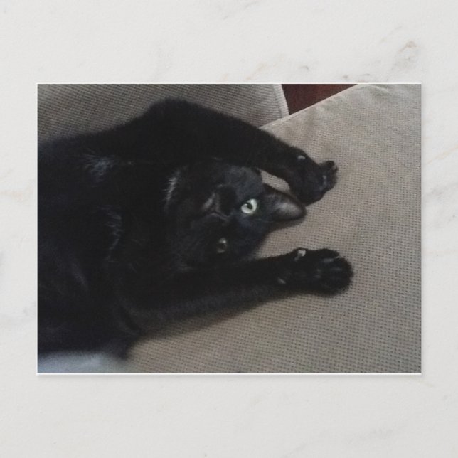 Bagheera den svart katten vykort (Framsida)