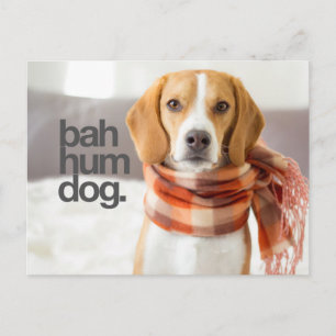 "Bah Hum Dog" Beagle Vykort