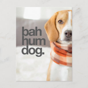 "Bah Hum Hund" Beagle Vykort