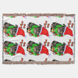 Bah Hum Pug jul Filt