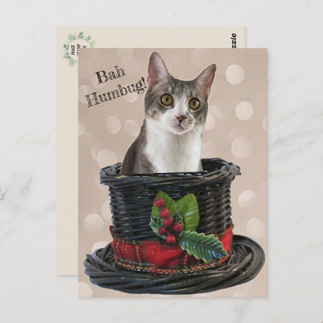 Bah Humbag Tito Cat Postcard Vykort (Fram/baksida)