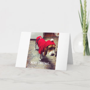Bah Humbug Beagle-julkort Kort