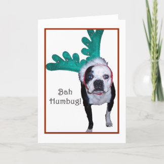 Bah Humbug! - Boston Terrier Helgkort