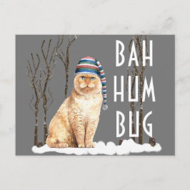 Bah Humbug Funny Cat jul Vykort