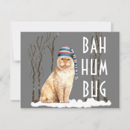 Bah Humbug Funny Kat julvykort Kort