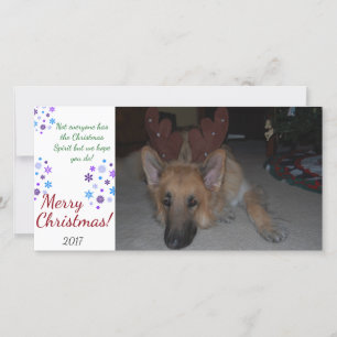 Bah Humbug-julkort Tyskt Shepherd roligt Julkort