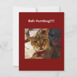 Bah Humbug katt med rynkad panna Julkort