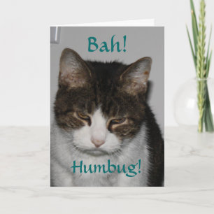 Bah! Humbug! - Katten Julhälsningar kortet Helgkort