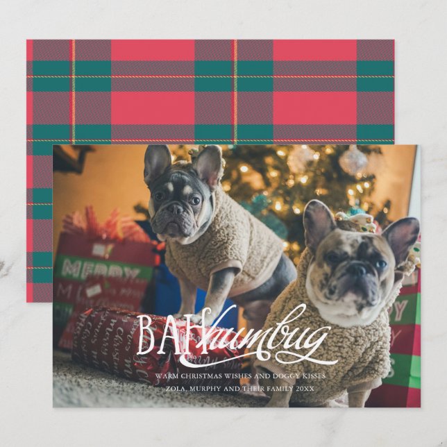 Bah Humbug Roligt Husdjur Foto Julkort Inbjudningar (Fram/baksida)