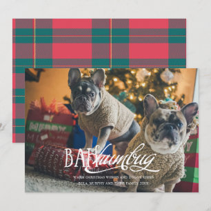 Bah Humbug Roligt Husdjur Foto Julkort Inbjudningar