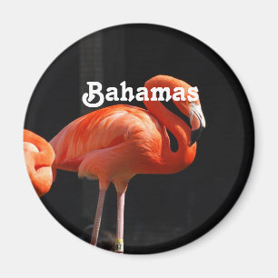 Bahamansk Flamingo Magnet