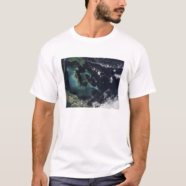 Bahamaöarnas satellitvy t-shirt (Framsida)