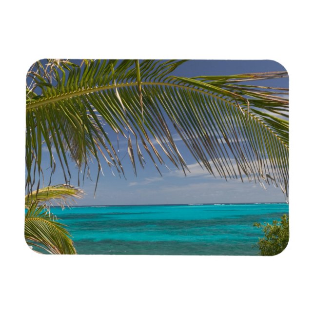 BAHAMAS, Abacos, Loyalist Cays, Man O'Krig Cay: Magnet (Horisontell)