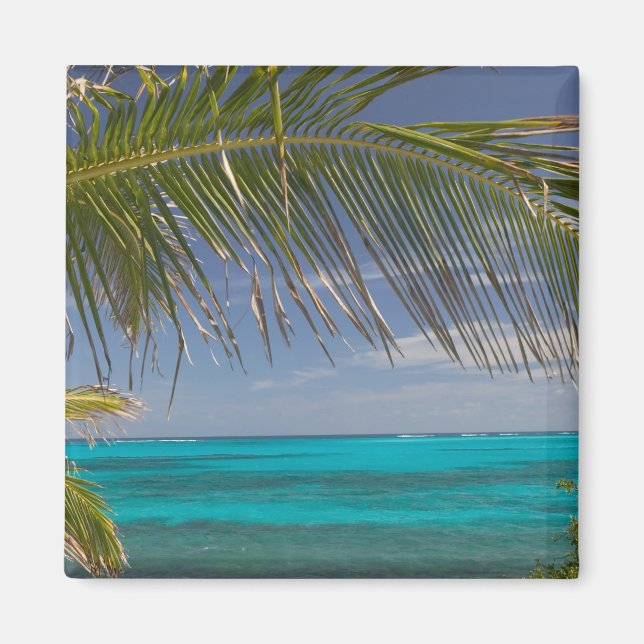 BAHAMAS, Abacos, Loyalist Cays, Man O'War Cay: Magnet (Framsidan)