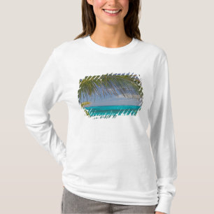 BAHAMAS, Abacos, Loyalist Cays, Man O'War Cay: Tee