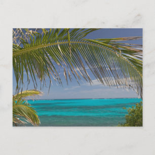 BAHAMAS, Abacos, Loyalist Cays, Man O'War Cay: Vykort
