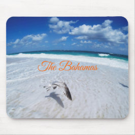 Bahamas | Bas Musmatta