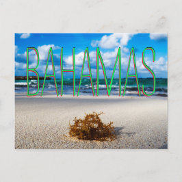 Bahamas Beach Close-Up Vykort