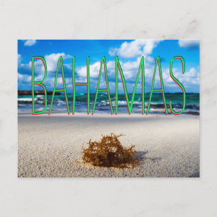 Bahamas Beach Close-Up Vykort