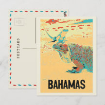 Bahamas Carribobe, typisk karibien Iguana Postca