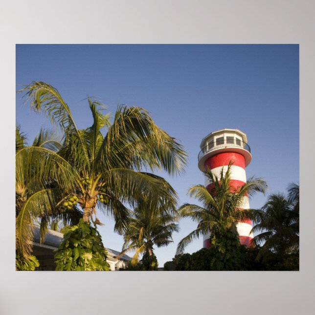 Bahamas, Grand Bahama, Freeport, Setting Poster (Framsidan)