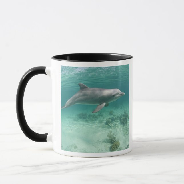 Bahamas, Grand Bahama Island, Freeport, Fånge 6 Mugg (Vänster)