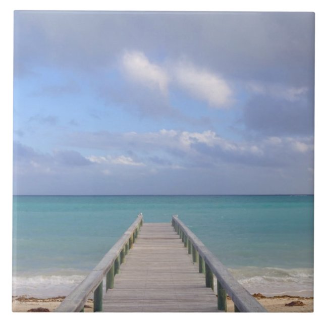 BAHAMAS, Grand Bahama Island, Östra sidan: Kakelplatta (Framsidan)