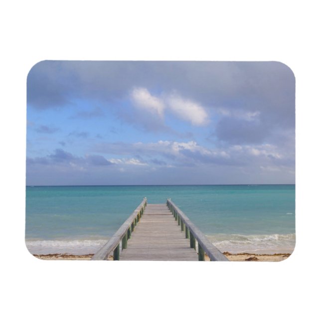 BAHAMAS, Grand Bahama Island, Östra sidan: Magnet (Horisontell)