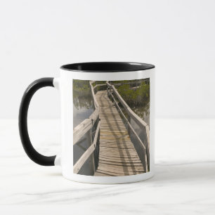 BAHAMAS, Grand Bahama Island, Östra sidan: Mugg