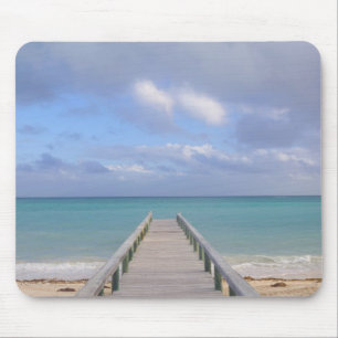 BAHAMAS, Grand Bahama Island, Östra sidan: Musmatta
