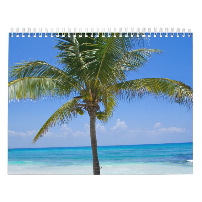 Bahamas Handflatan Träd Kalender (Omslag)