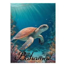Bahamas Havssköldpadda Resaaffisch