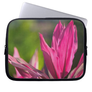 BAHAMAS, New Providence Island, Nassau: Paradis Laptop Fodral