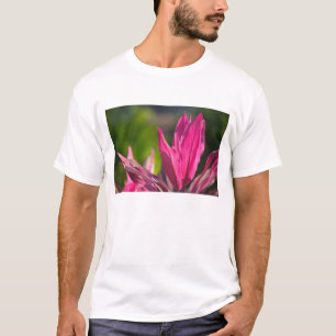 BAHAMAS, New Providence Island, Nassau: Paradis Tee