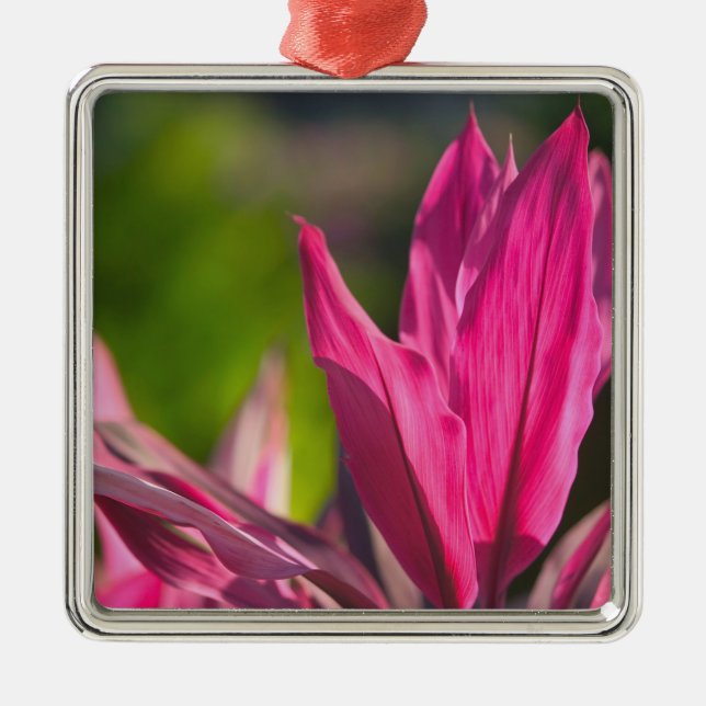 BAHAMAS, New Providence Island, Nassau:Paradiserin Julgransprydnad Metall (Framsidan)